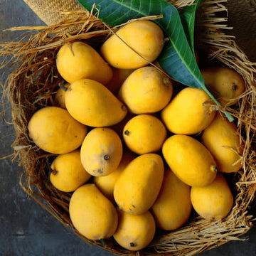 Mango Banganapalli