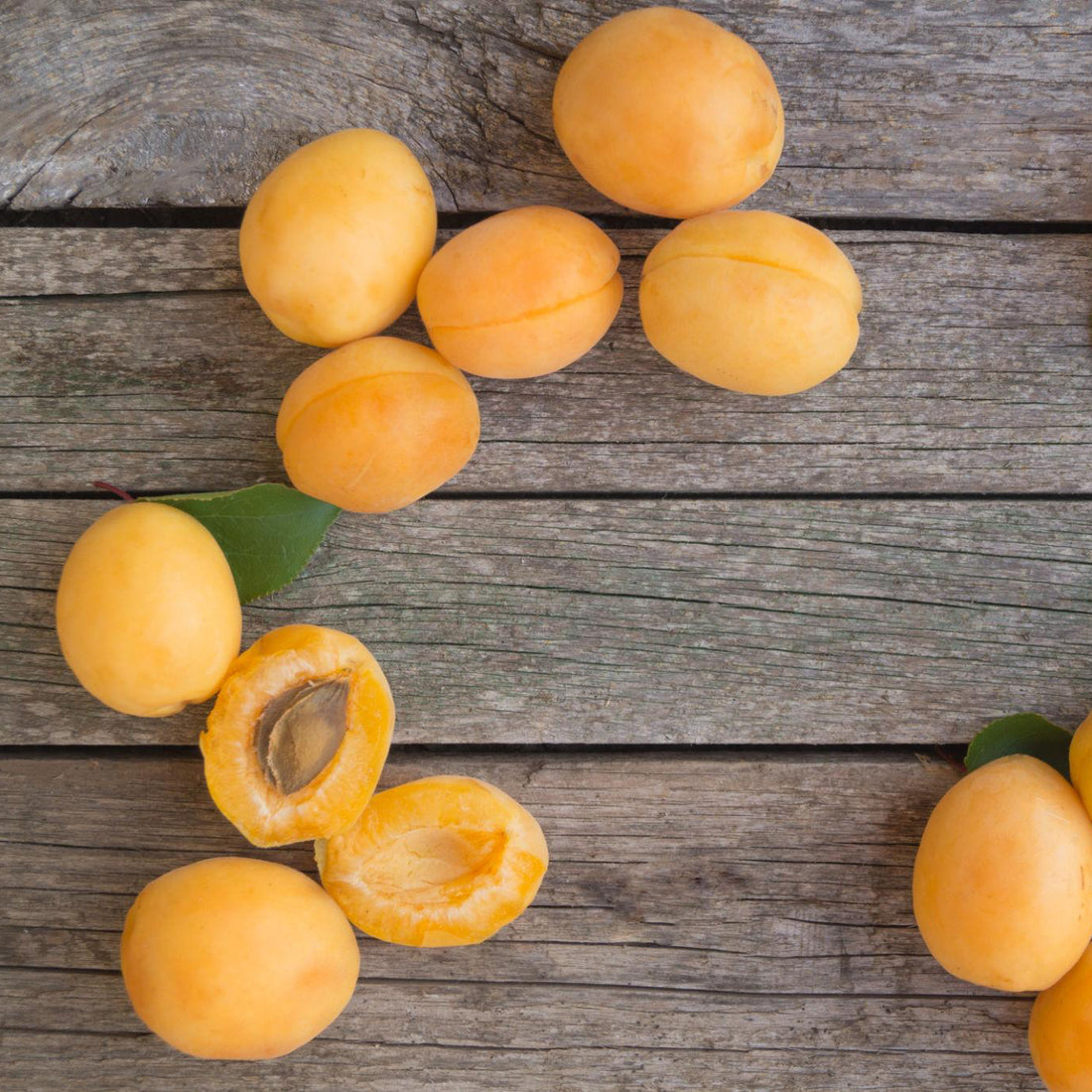 Apricot