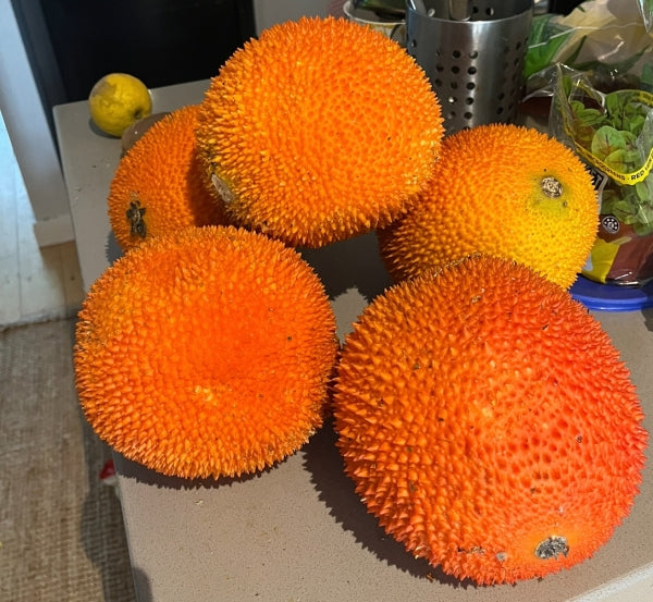 Gac Fruit