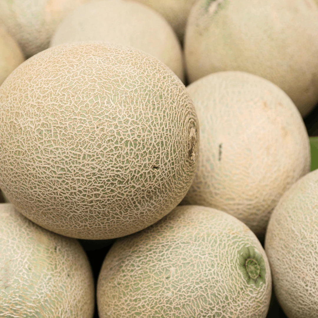 Muskmelon