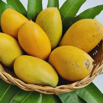 Himayat Mango