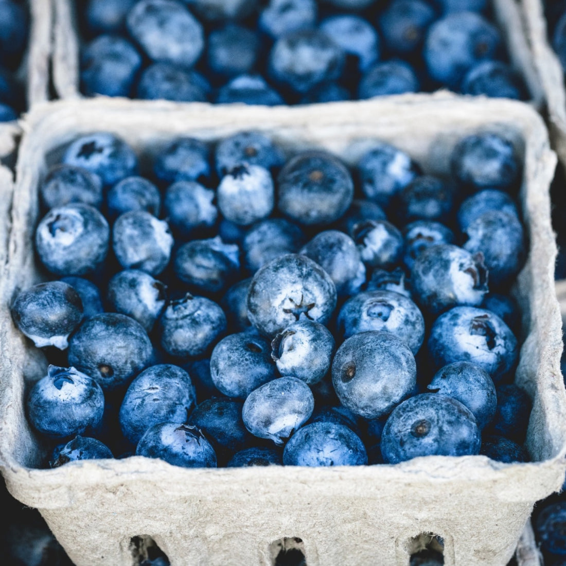 Blueberries