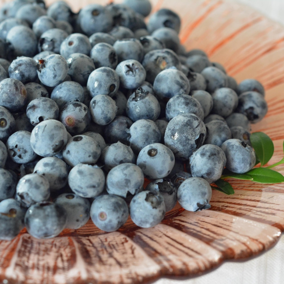 Blueberries (Imported)
