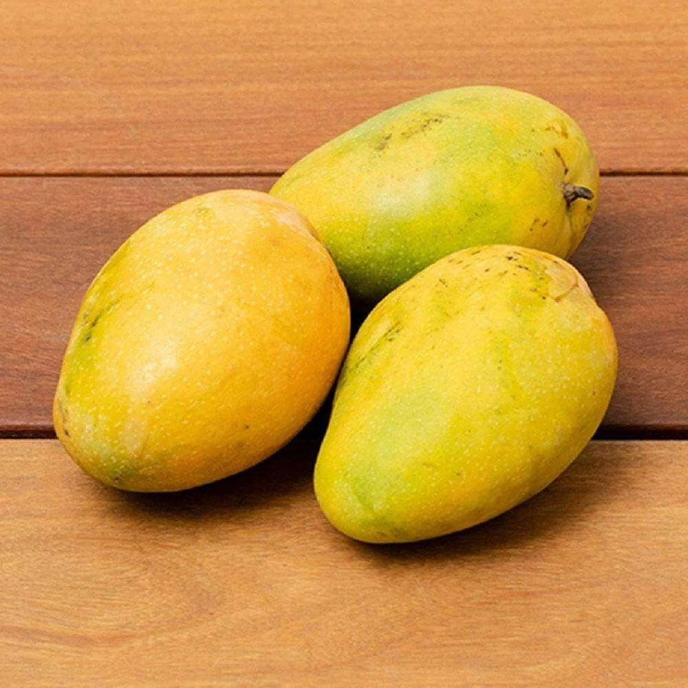 Mango Banganapalli